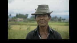 POTRET SEORANG PRIA SAAT PANEN DI SAWAH